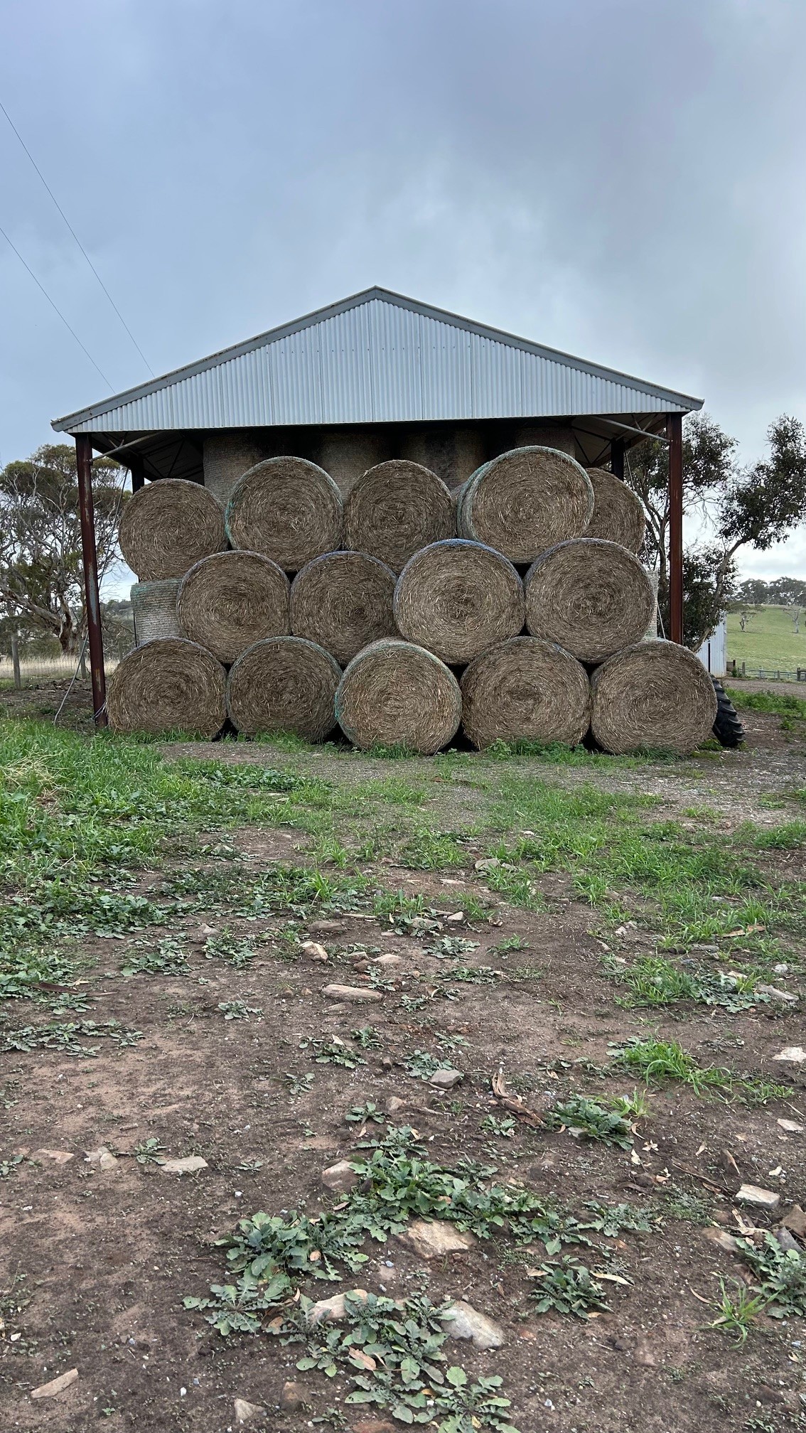 Hay outside shed